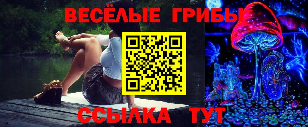 Псилоцибиновые грибы мухоморы Жигулёвск